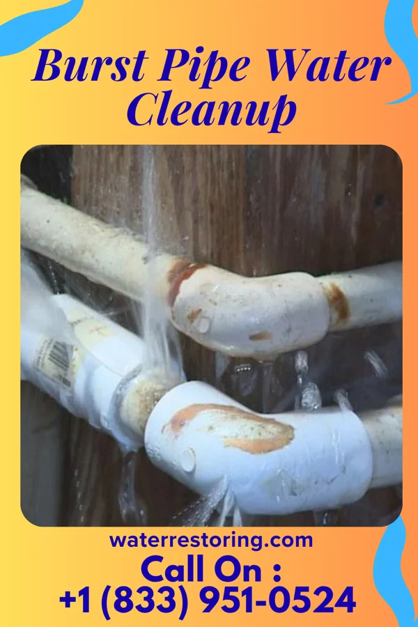 Burst Pipe Water Cleanup in Williamsburg, KY