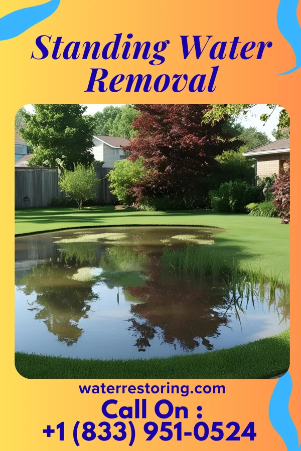 Standing Water Removal in Williamsburg, KY